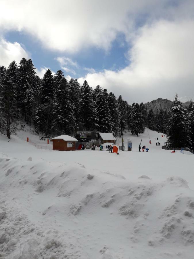 Maison Cosy Proche De La Station De Du Lioran 4 Personnes * Thiezac