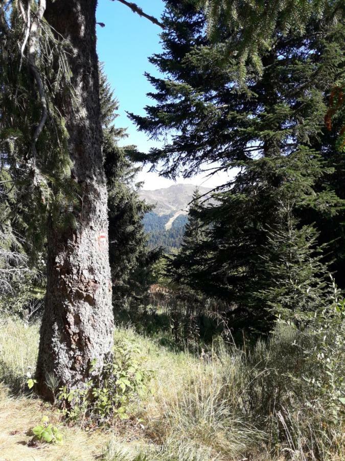 Maison Cosy Proche De La Station De Du Lioran 4 Personnes Hébergement de vacances